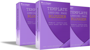 landingpage blogger landigger